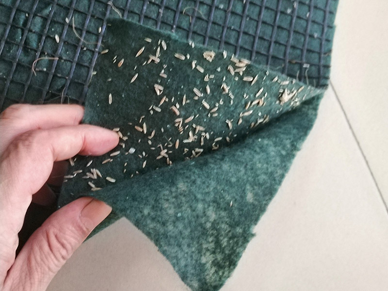 加筋抗冲椰垫抗冲生物毯 (4)