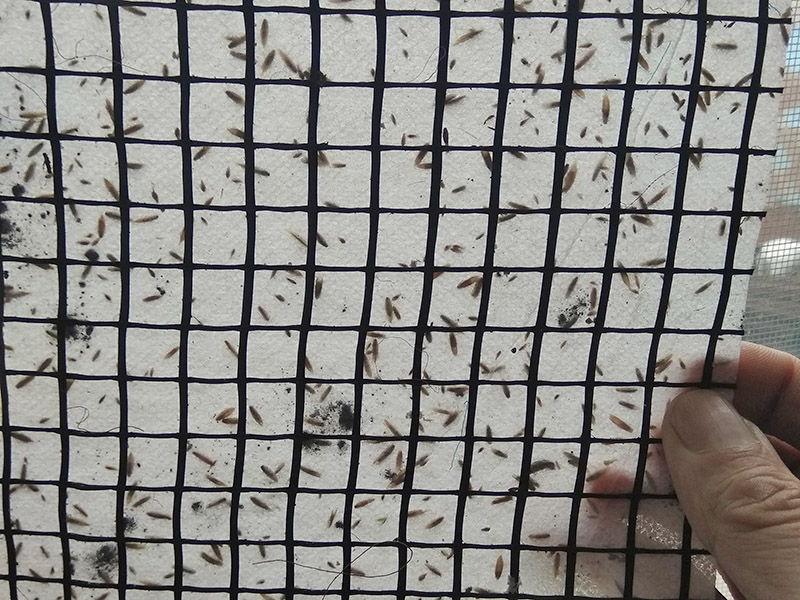 加筋抗冲椰垫抗冲生物毯