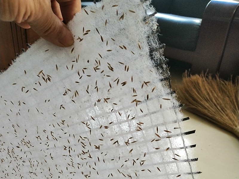 嘉沃毯