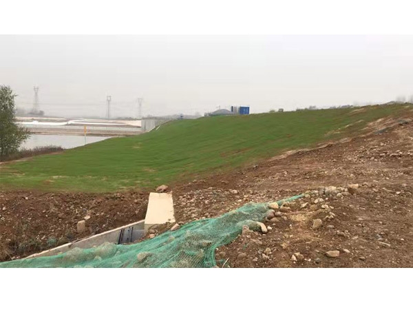 抗冲生物毯