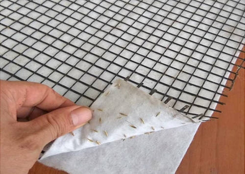 抗冲生物毯