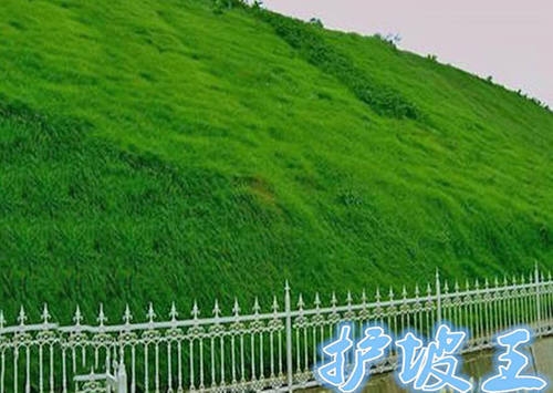 抗冲生物毯