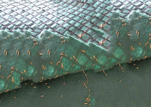 抗冲生物毯在河岸护坡中有哪些作用